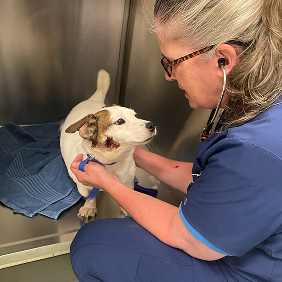 The EarResistible Russell