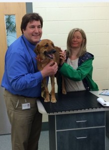 Angell's Dr. Rosenblad (left) with Jack's owner Megan Gaffney (right) after Jack's re-check appointment at the hospital (credit: MSPCA-Angell)