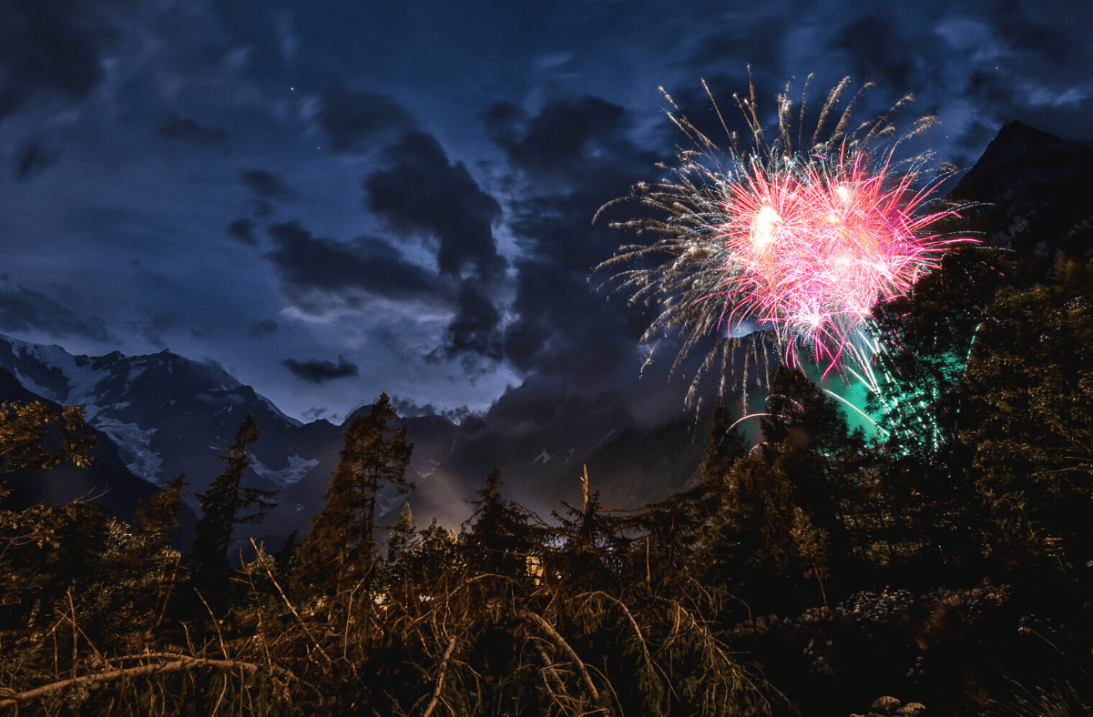 Fireworks and Wildlife • MSPCAAngell